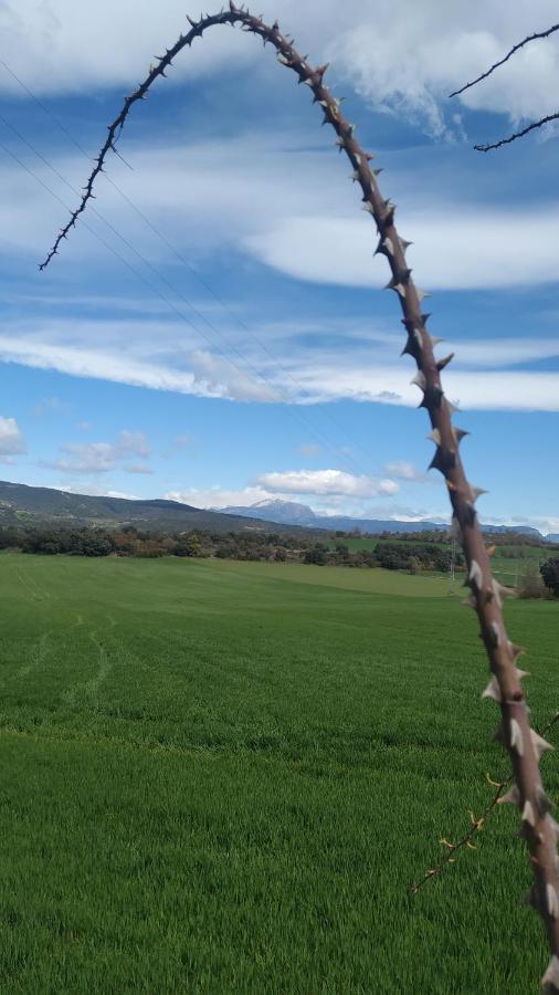 Apartamento Vut Manypi Vu-Huesca-21-024 La Puebla de Castro Kültér fotó